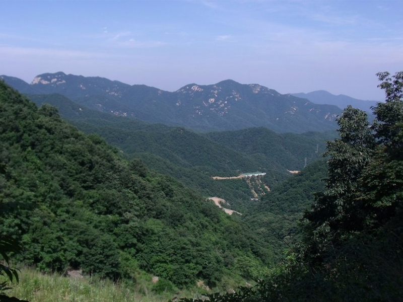 河南洛陽宜陽張午風(fēng)電場110千伏送出工程對(duì)河南洛陽熊耳山升級(jí)自然保護(hù)區(qū)生物多樣性影響評(píng)價(jià)報(bào)告