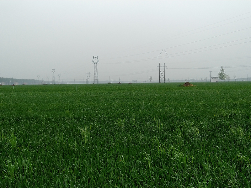 商水協(xié)鑫100MW光伏發(fā)電項(xiàng)目輸變電工程竣工環(huán)境保護(hù)驗(yàn)收調(diào)查表